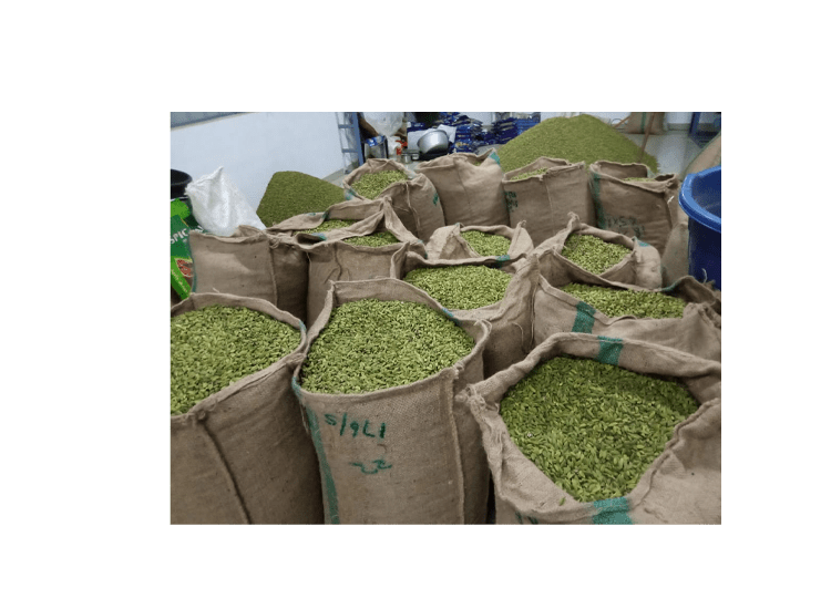 Cardamom - Image 3